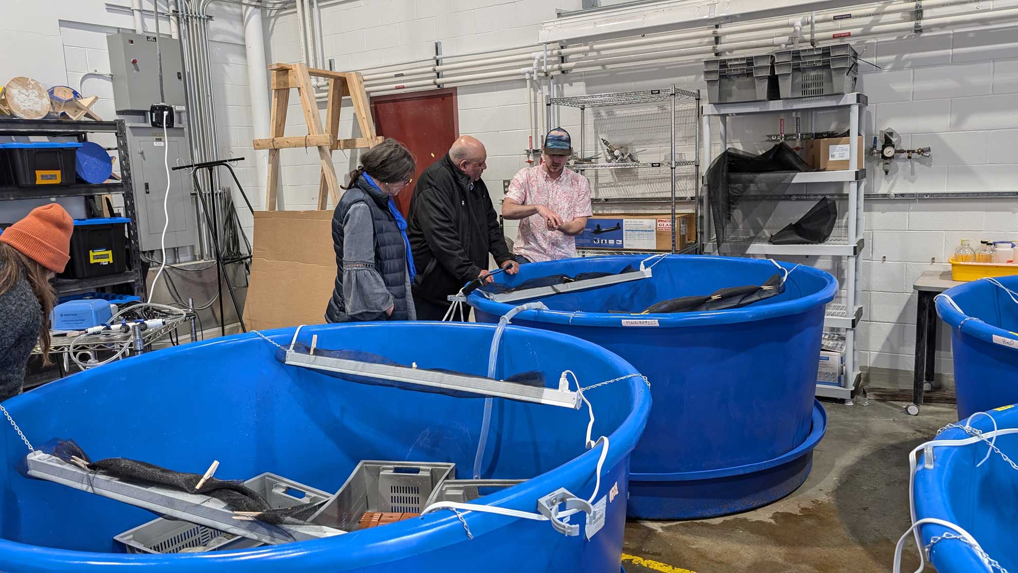 Tanks in the Seaweed Innovation Hub.