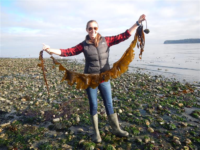 NIC biology student, Emily, standing on the beach holding up a long piece of kelp.