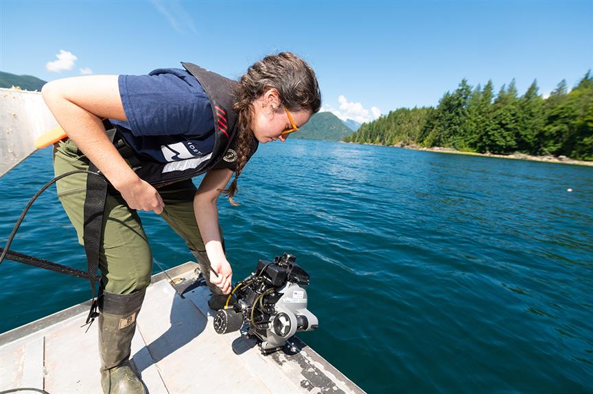 NIC student researcher Melissa Roberts deploys an ROV to monitor the kelp habitat research site