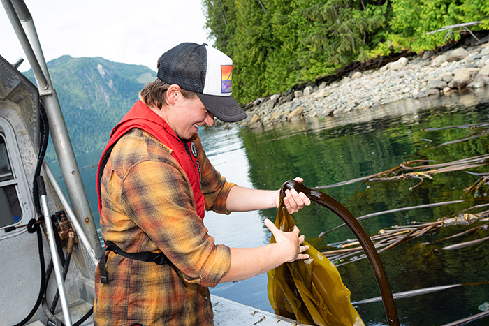 NIC student Sally Enns holds a piece of bull kelp that will be measured