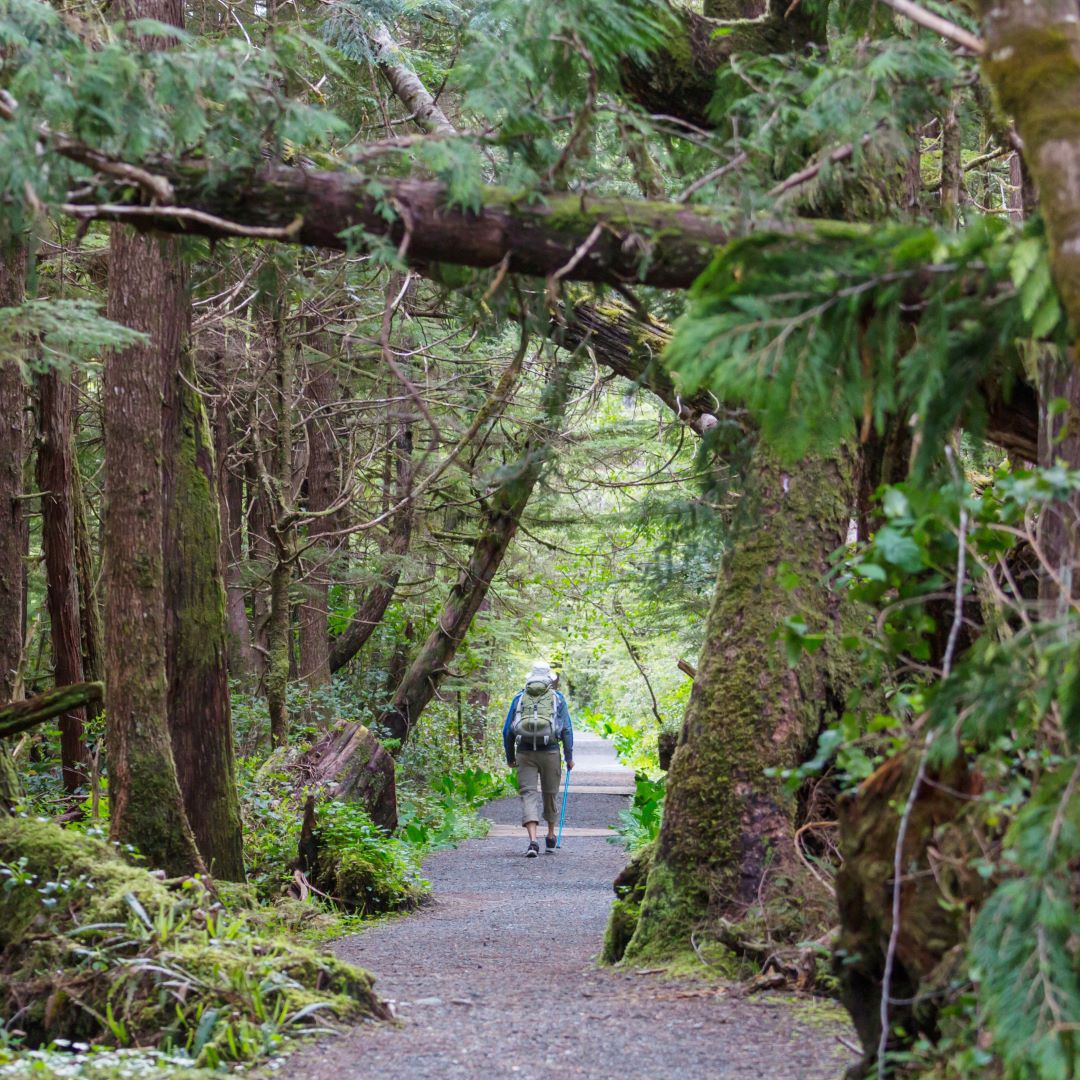 Benefits, hiking around the rainforests of Port Alberni.