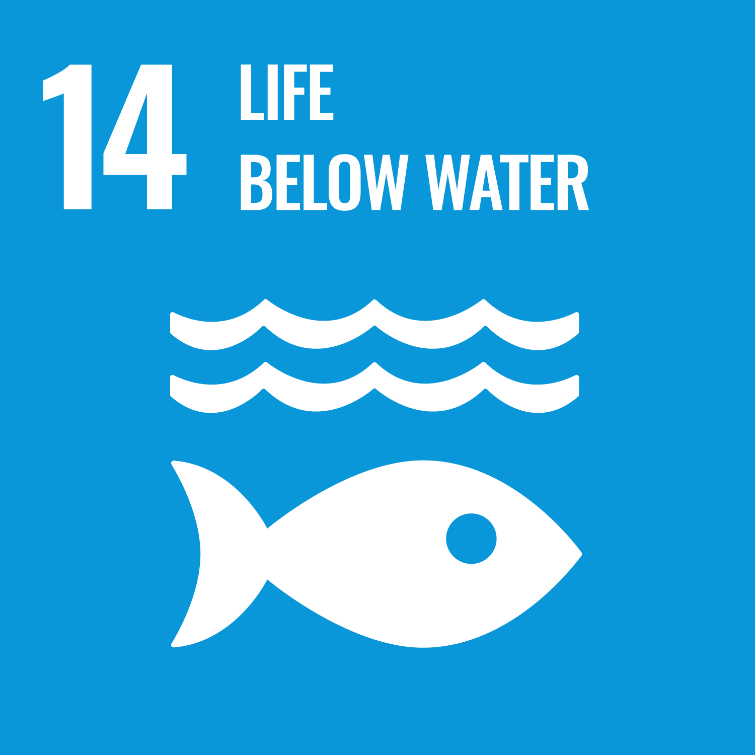 Life Below Water SDG