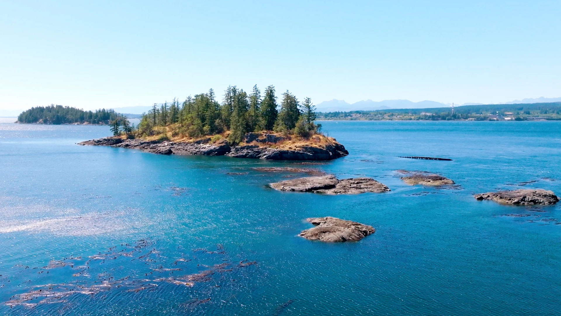 Aerial shot of a kelp bed on the North Island 