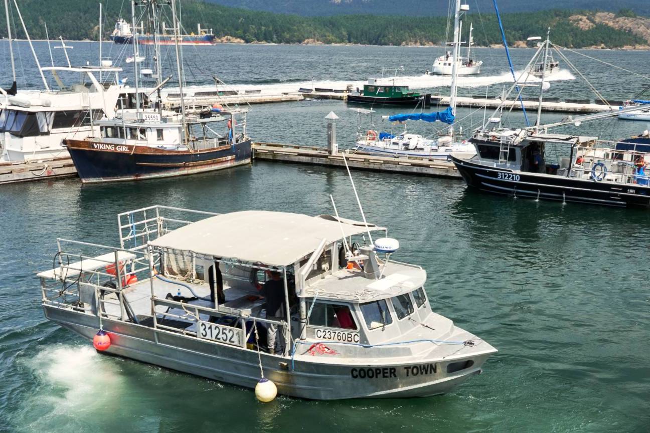 fishing boats in a harbour