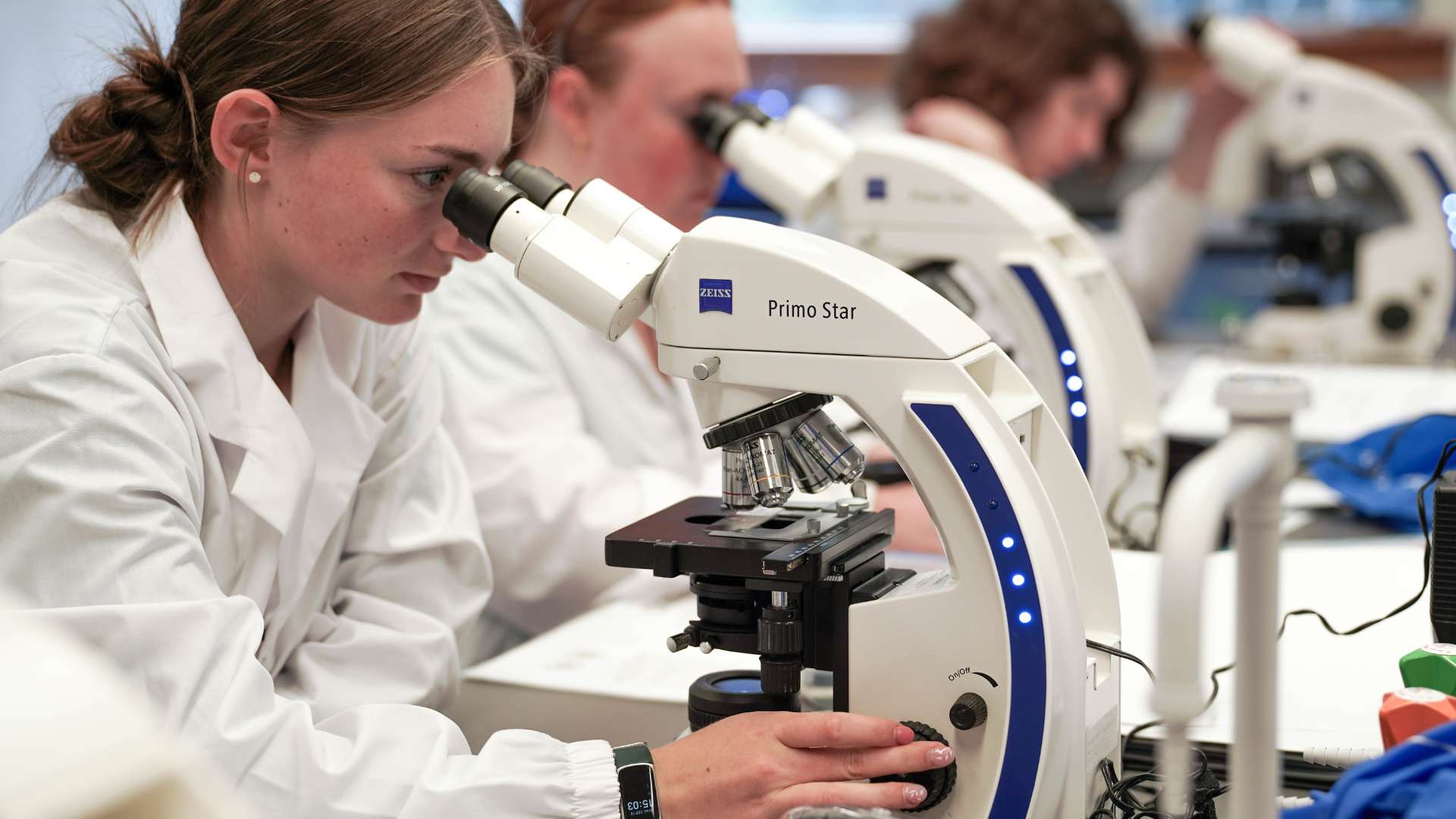 Students in the Island Pre-Health Science Program look through microscopes in a newly updated lab